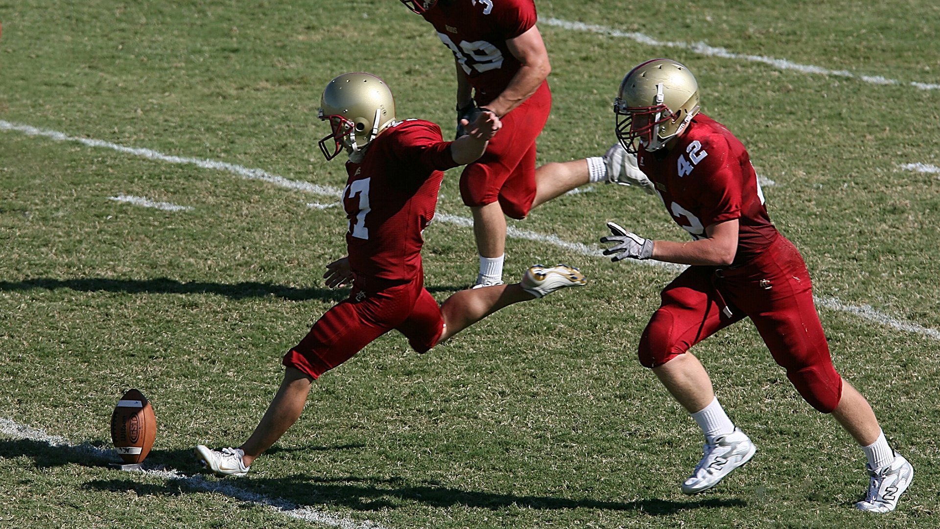 体育赛事观众增长统计